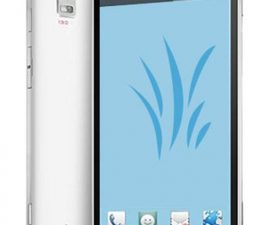 An Overview of Huawei Ascend P2